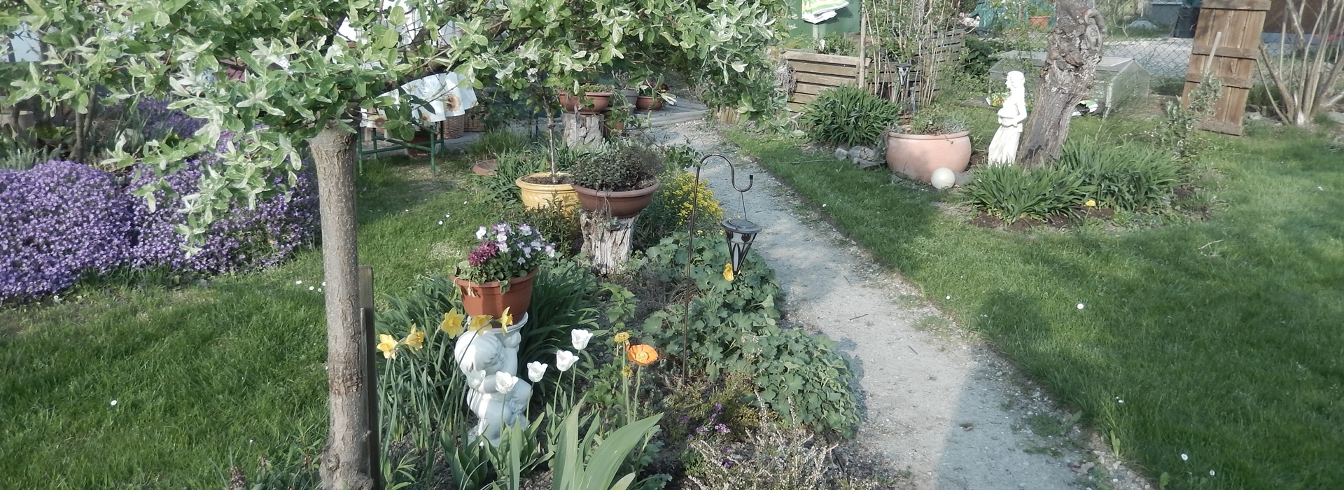 Frühling Frühling