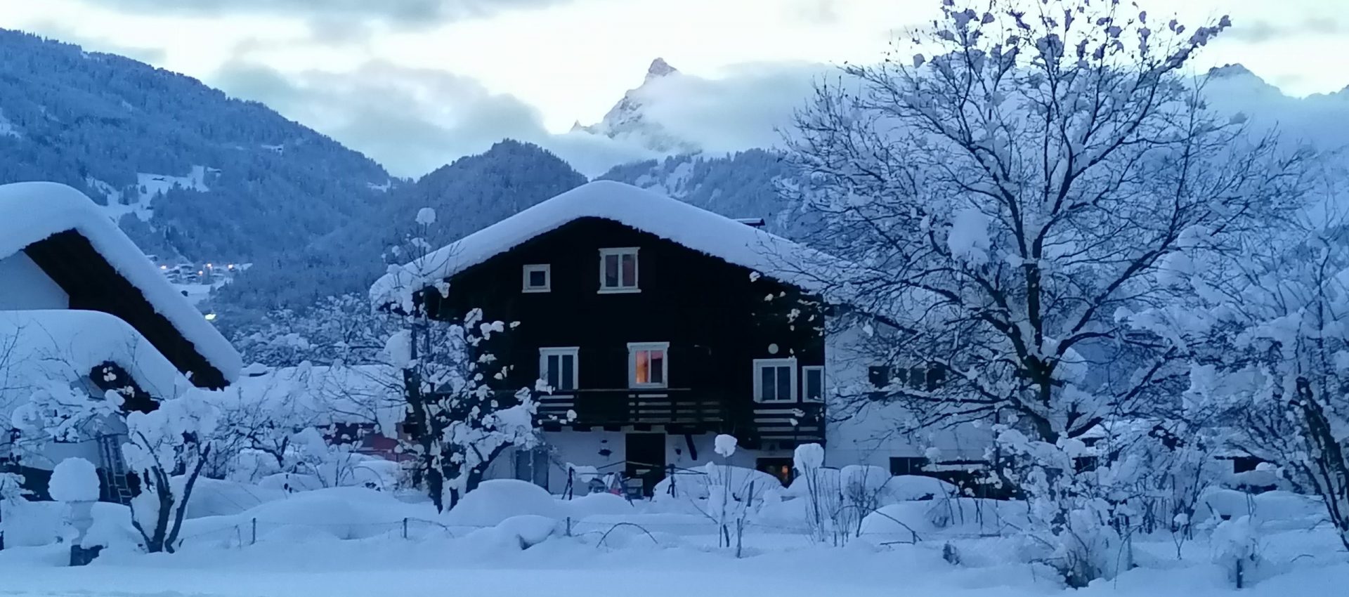 Hausansicht hinten Hausansicht hinten